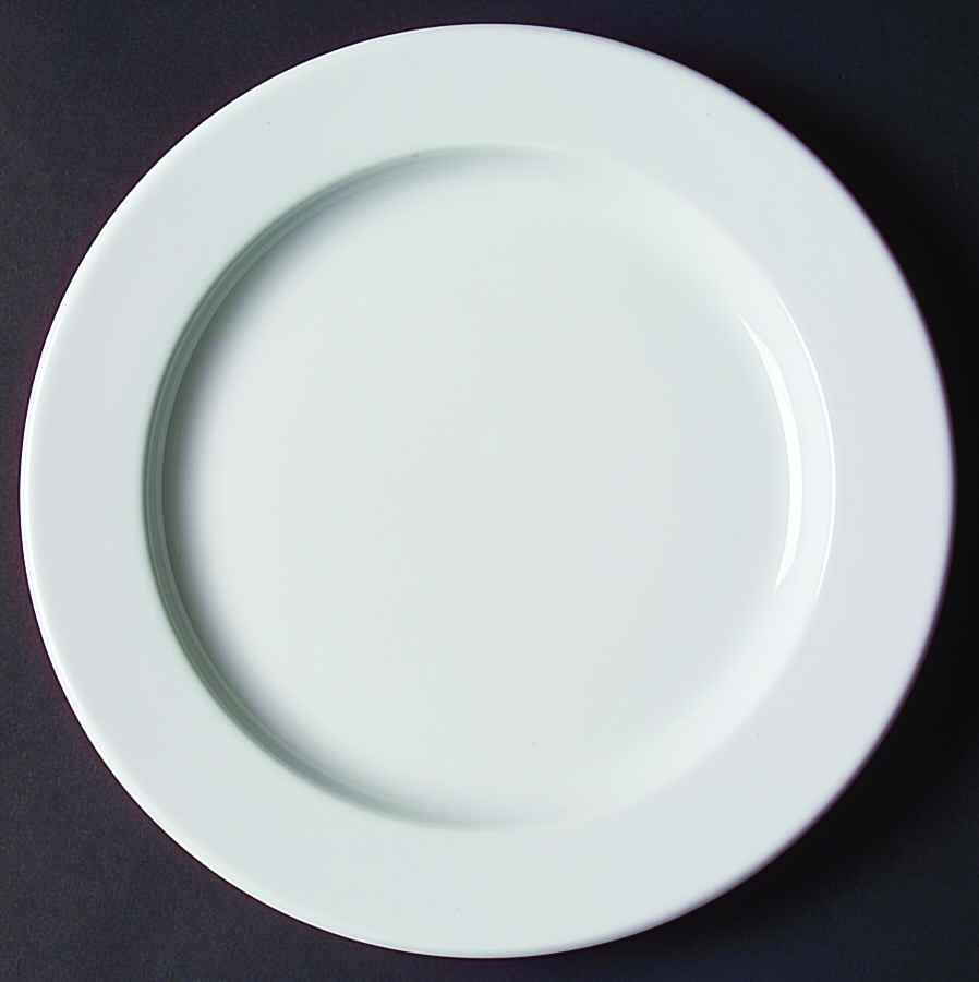 Camargue Dinner Plate by Wedgwood-1