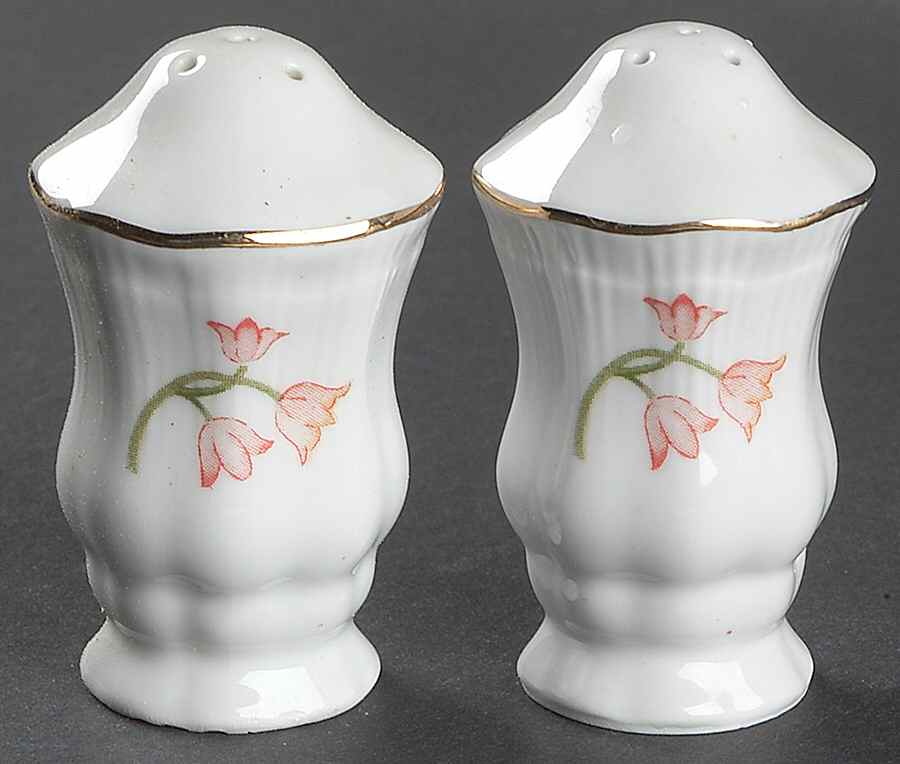 Trellis Salt & Pepper Set by Baum Brothers-1