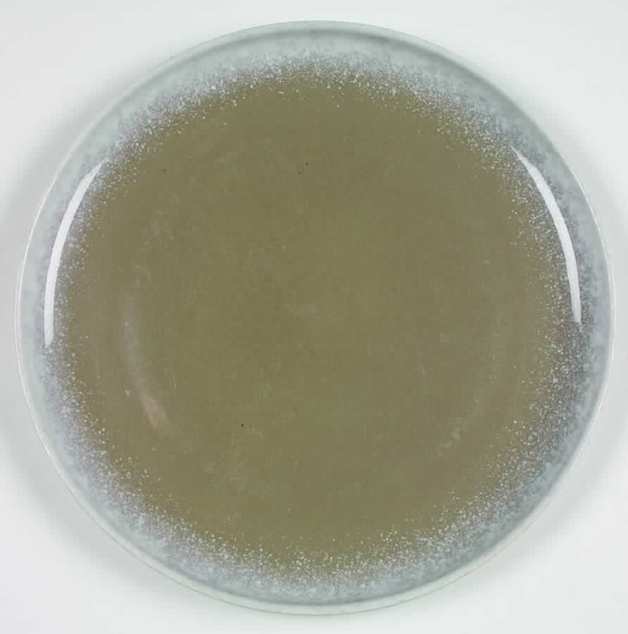 WIN22 Dinner Plate by Winfield-1