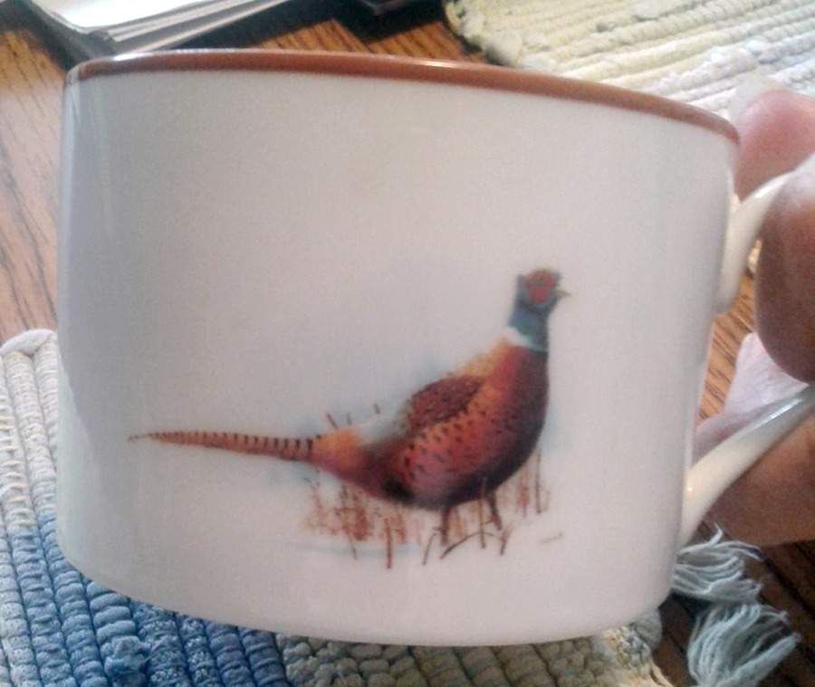 Wdn1 Flat Cup by Wildlife Designs-1