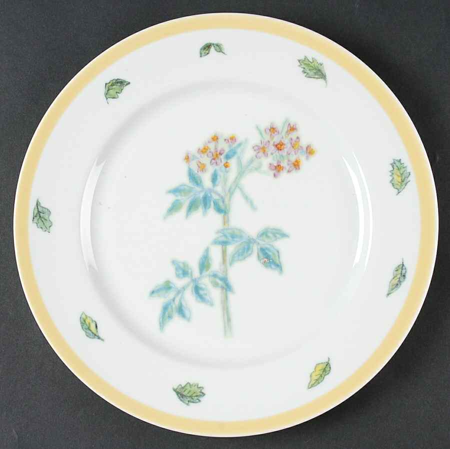 Flowering Herbs Dinner Plate by Williams-Sonoma-1