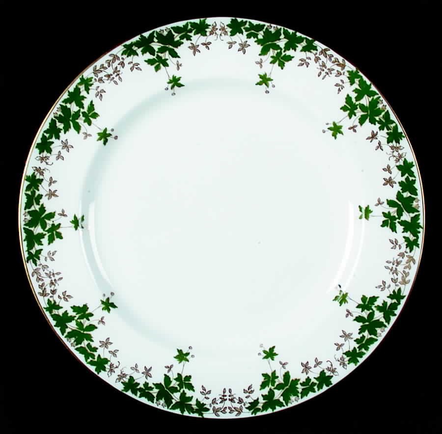 X6200 Dinner Plate by Wedgwood-1