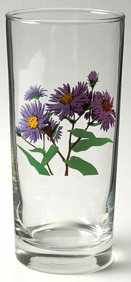 American Wildflowers 16 Oz Glassware Cooler by National Wildlife Federation-1