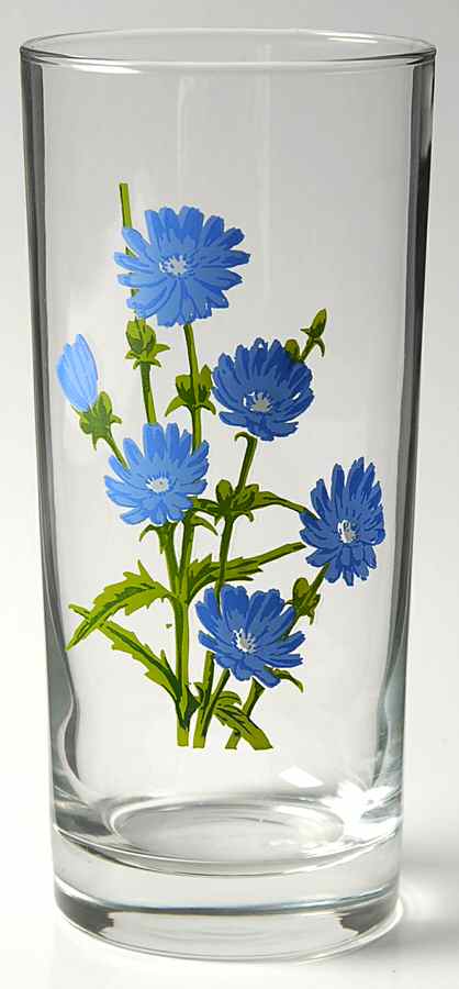 American Wildflowers 16 Oz Glassware Cooler by National Wildlife Federation-1