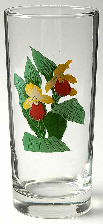 American Wildflowers 16 Oz Glassware Cooler by National Wildlife Federation-1