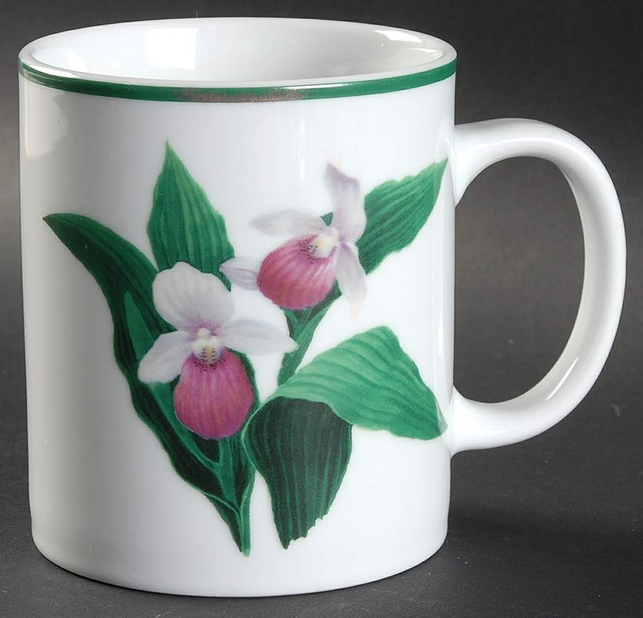 American Wildflowers Mug by National Wildlife Federation-1
