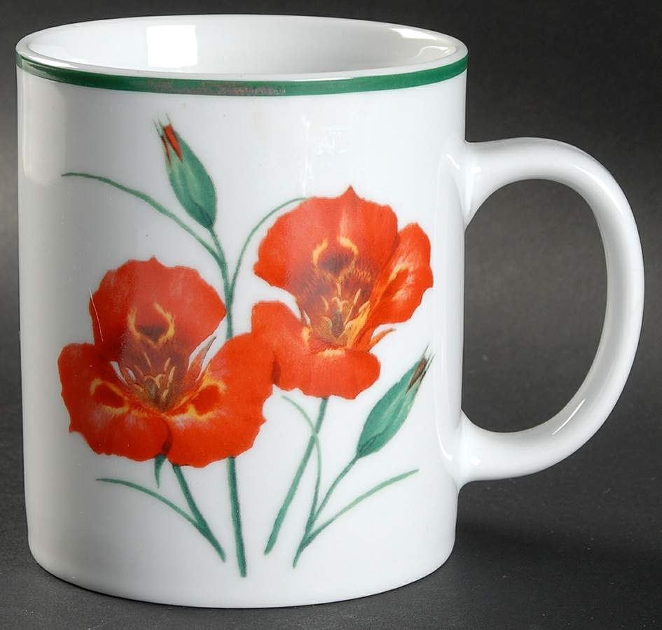 American Wildflowers Mug by National Wildlife Federation-1
