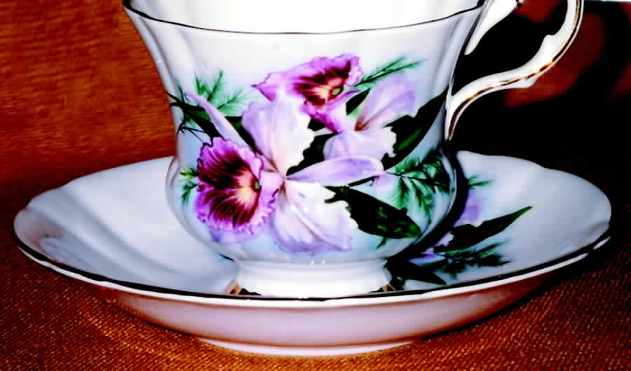X1944-6 Footed Cup & Saucer Set by Windsor (England)-1