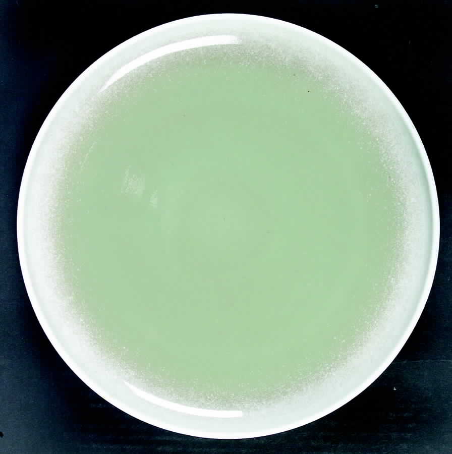 WIN36 Dinner Plate by Winfield-1