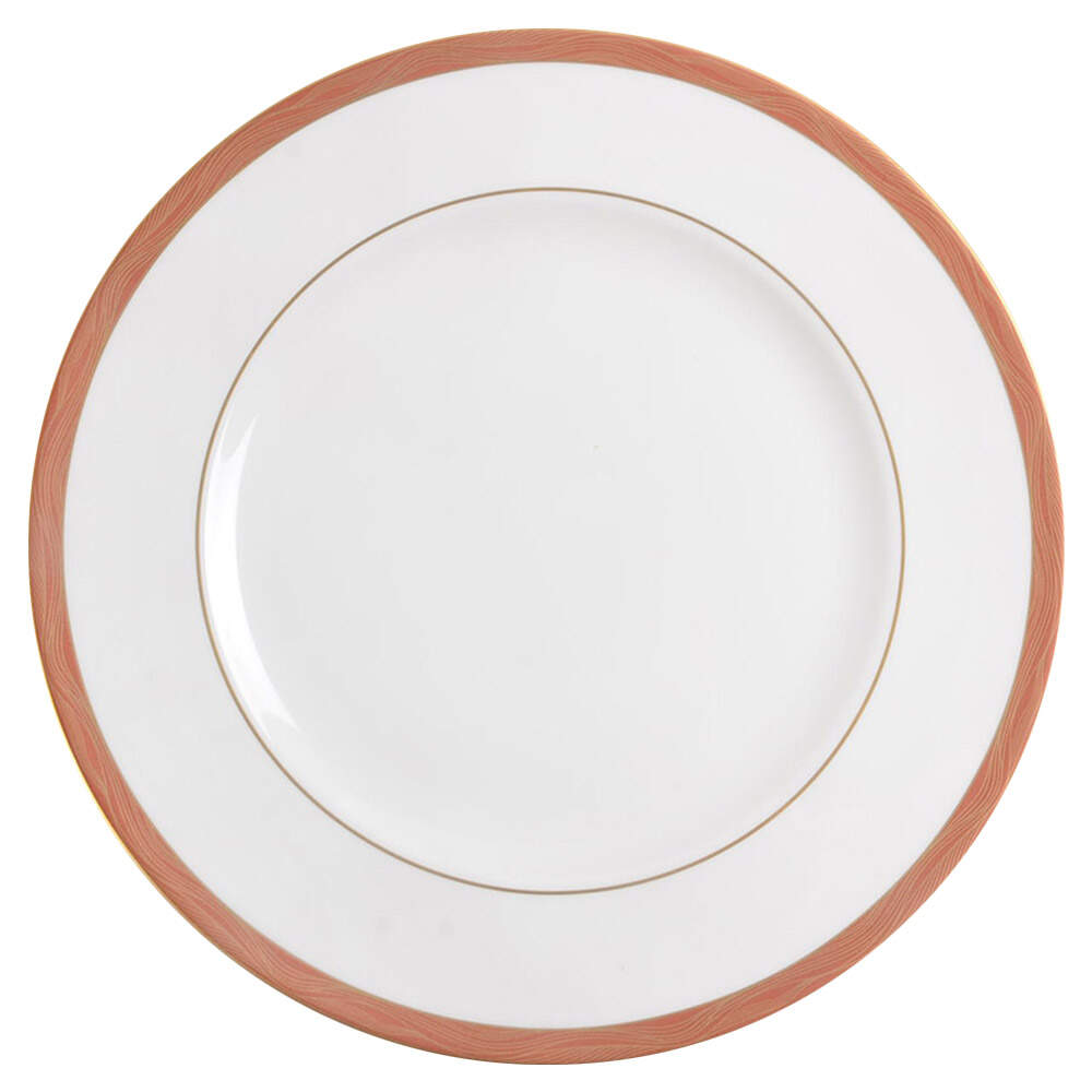 Paris Dinner Plate by Wedgwood-1