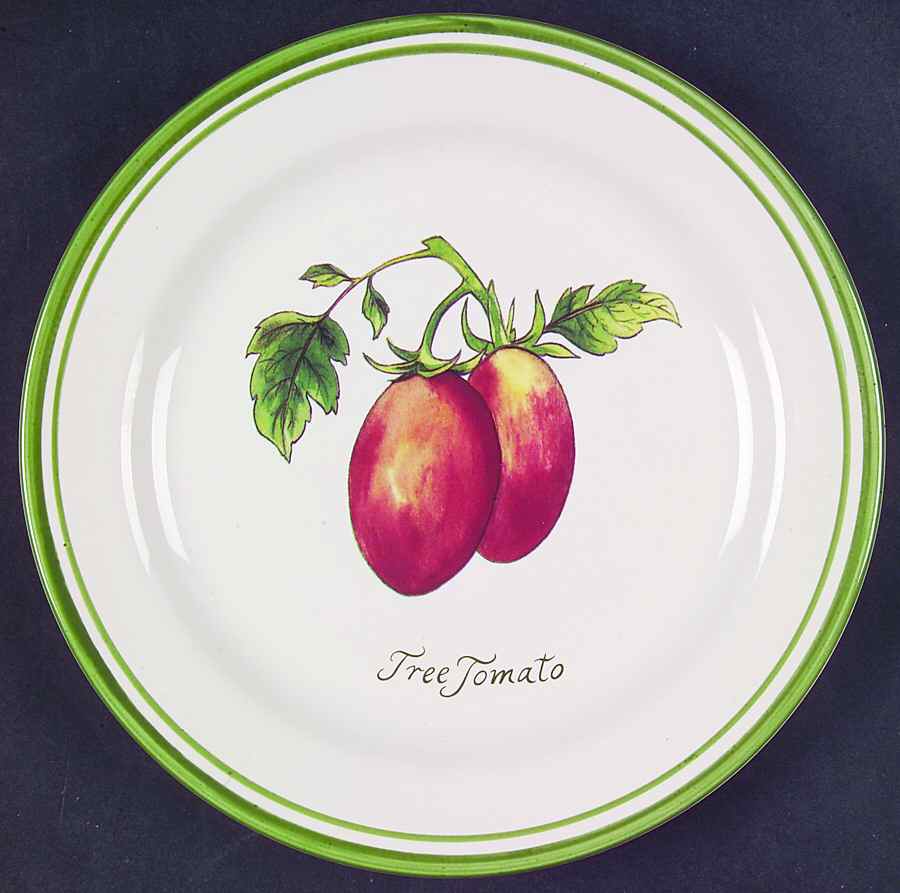 Heirloom Tomatoes Luncheon Plate by Williams-Sonoma-1
