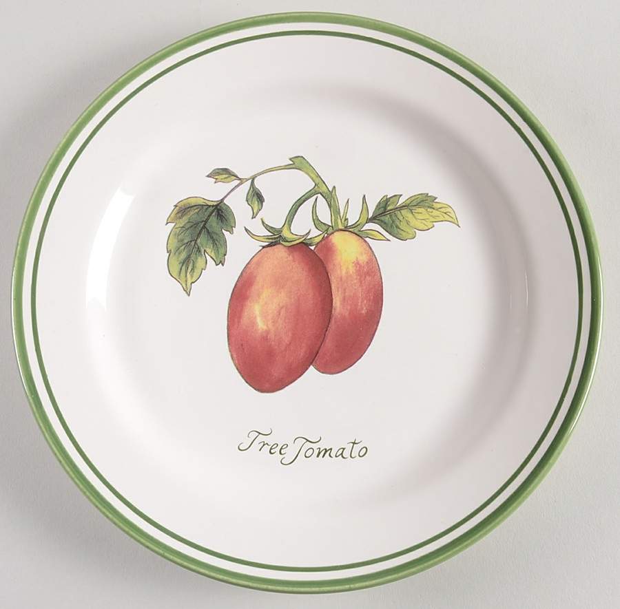 Heirloom Tomatoes Salad Plate by Williams-Sonoma-1