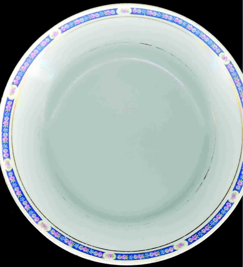 WIK8 Dinner Plate by F Winkle-1
