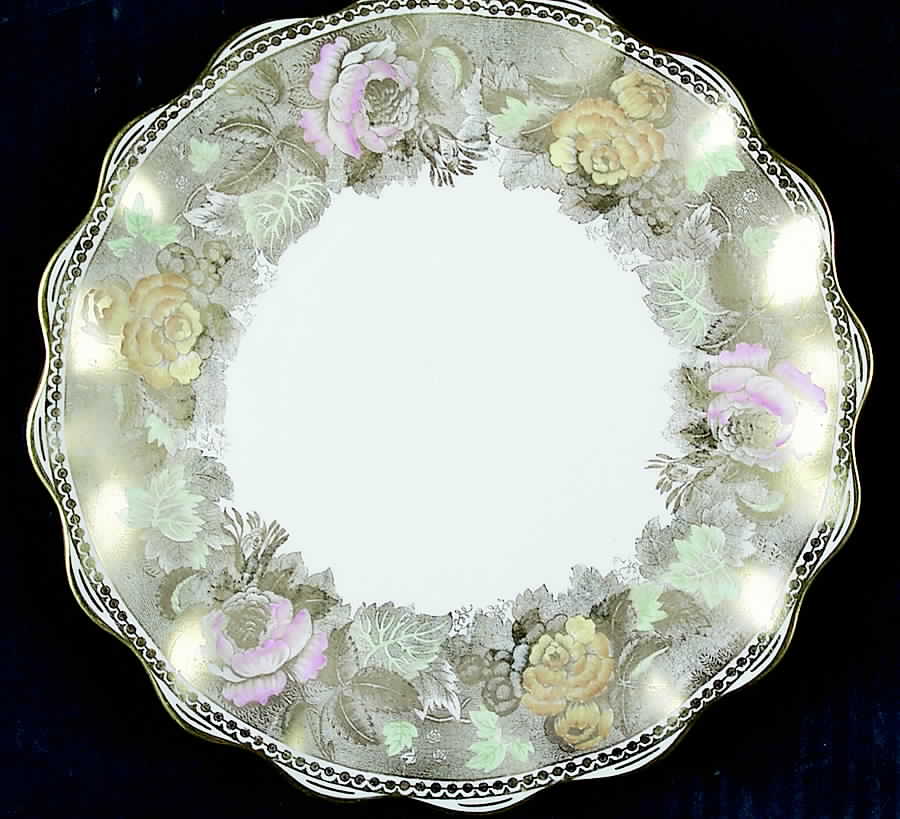 X2635 Salad Plate by Wedgwood-1