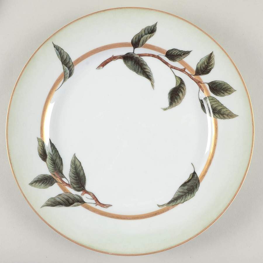 WSO35 Dinner Plate by Williams-Sonoma-1