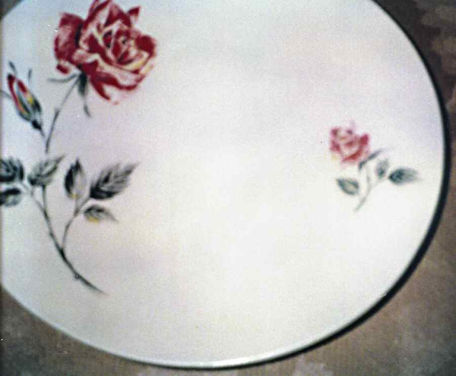 258 Dinner Plate by Wood & Sons-1