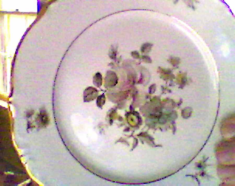 WIG836 Dinner Plate by Winterling - Bavaria-1