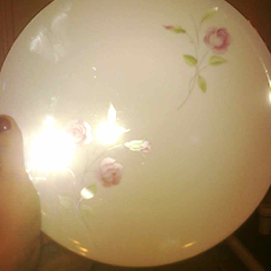 WIG849 Dinner Plate by Winterling - Bavaria-1