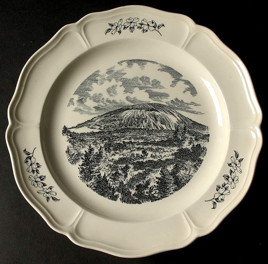 WW621 Dinner Plate by Wedgwood-1