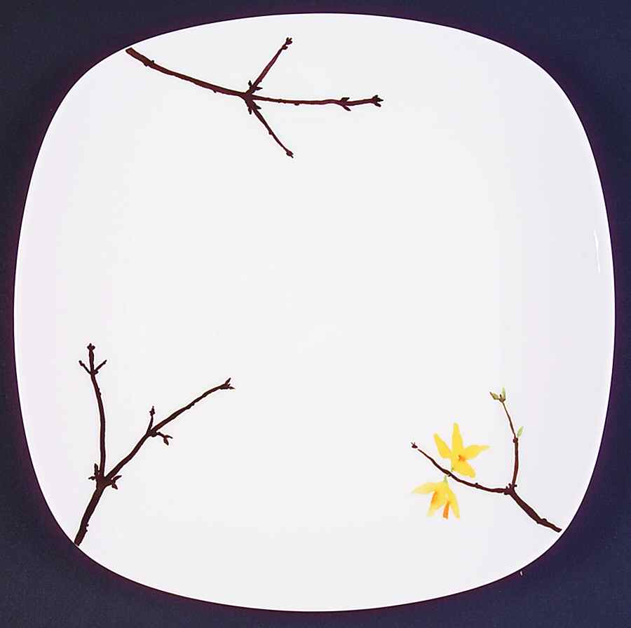 Painted Garden Forsythia (Yellow Flowers) Dinner Plate by Wedgwood-1