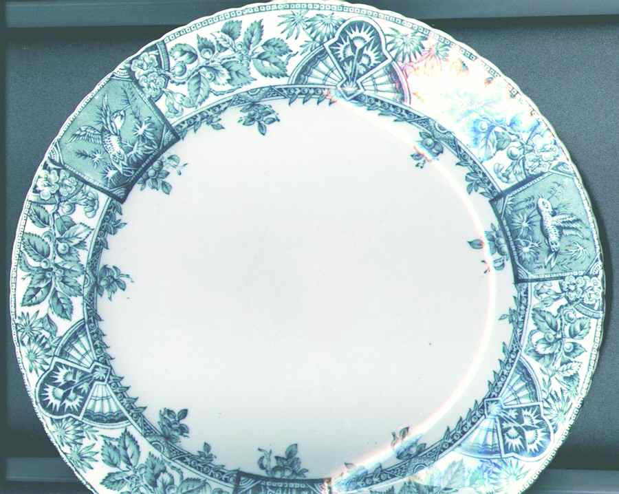 Alexandria Green Dinner Plate by Wallis Gimson-1