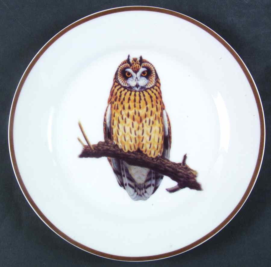WFE2 Salad Plate by National Wildlife Federation-1