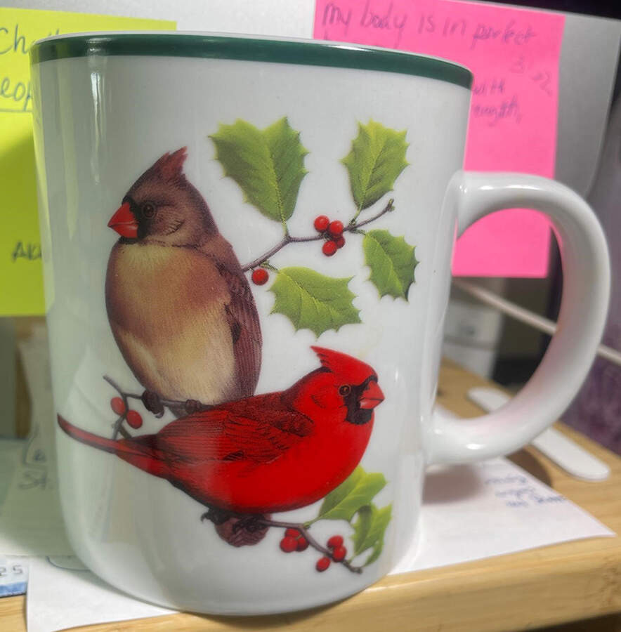 WFE3 Mug by National Wildlife Federation-1