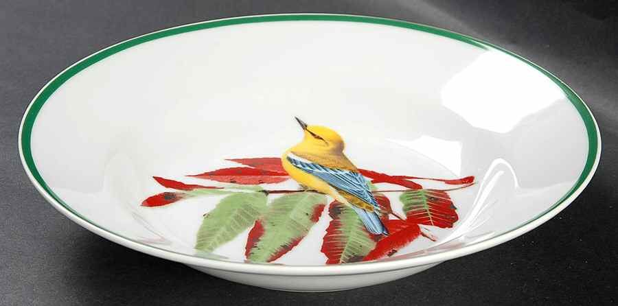 WFE3 Rim Soup Bowl by National Wildlife Federation-1