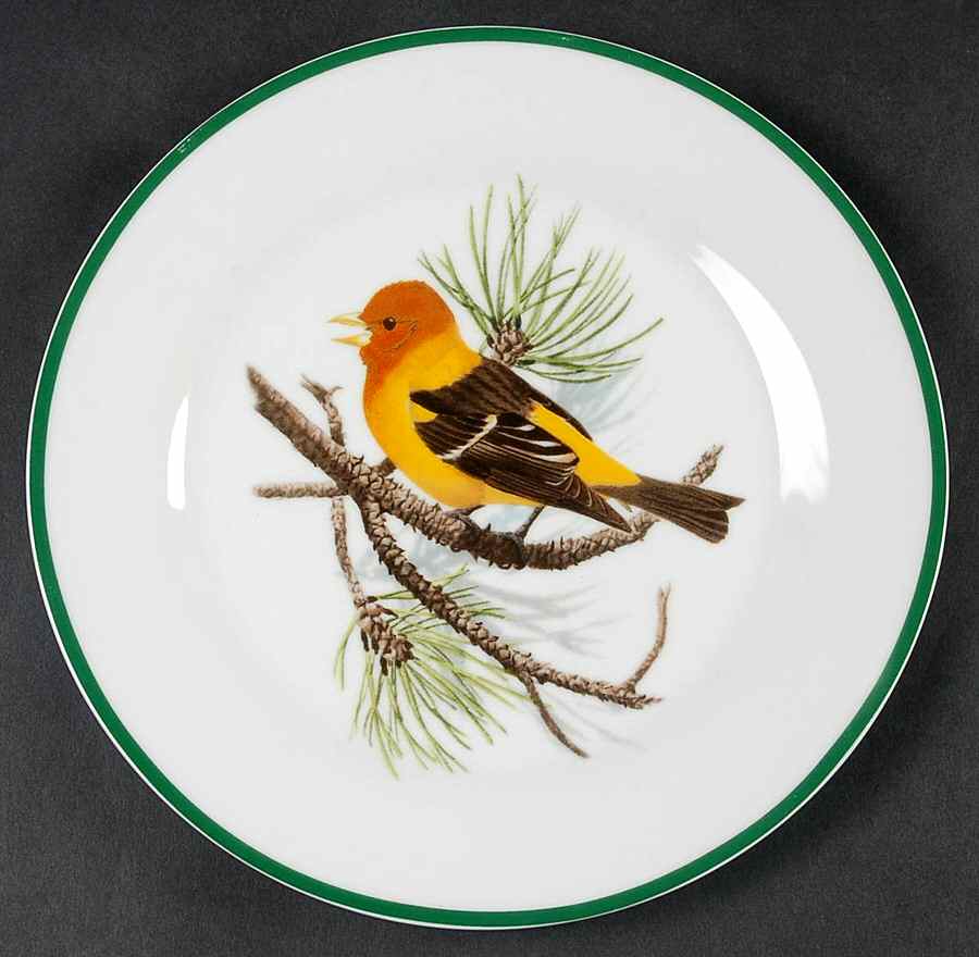 WFE3 Salad Plate by National Wildlife Federation-1