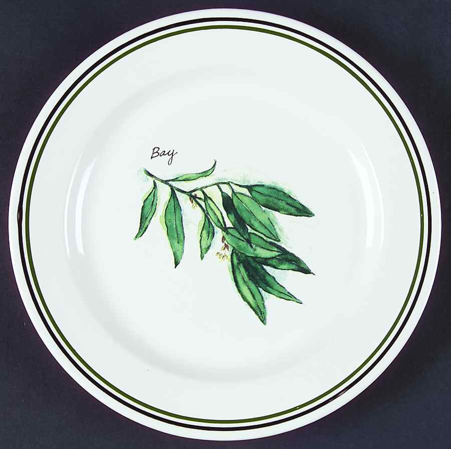 WSO51 Salad Plate by Williams-Sonoma-1
