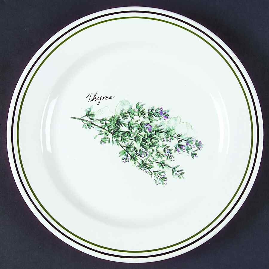 WSO51 Salad Plate by Williams-Sonoma-1