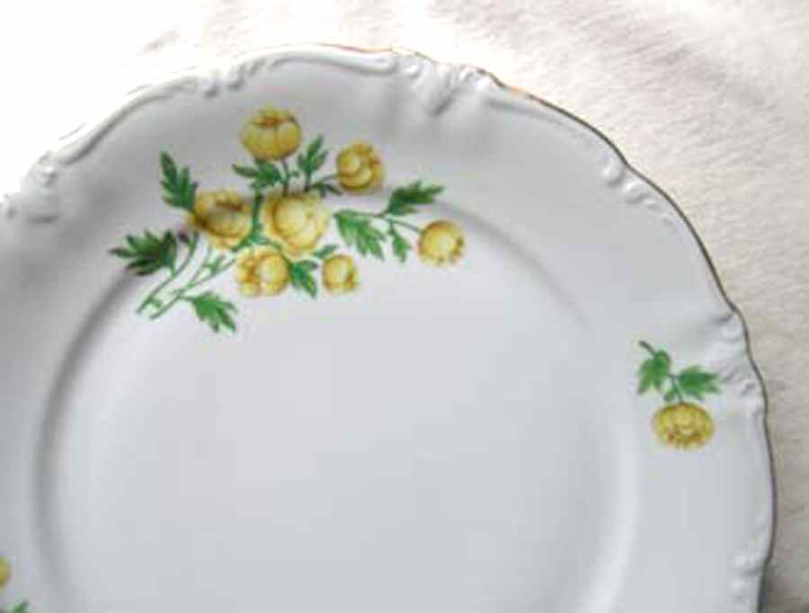 WIG896 Dinner Plate by Winterling - Bavaria-1