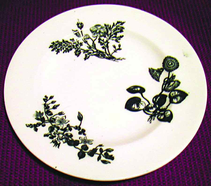 WW396 Salad Plate by Wedgwood-1