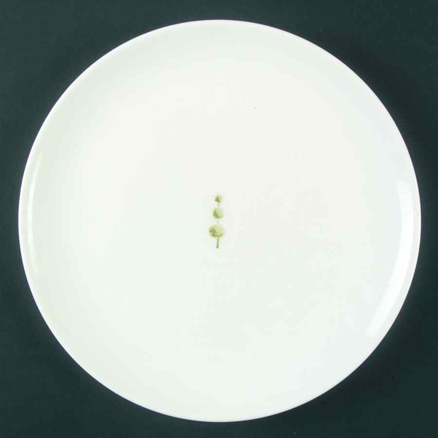 Boxwood Salad Plate by Wedgwood-1