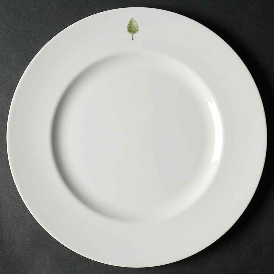 Boxwood Dinner Plate by Wedgwood-1