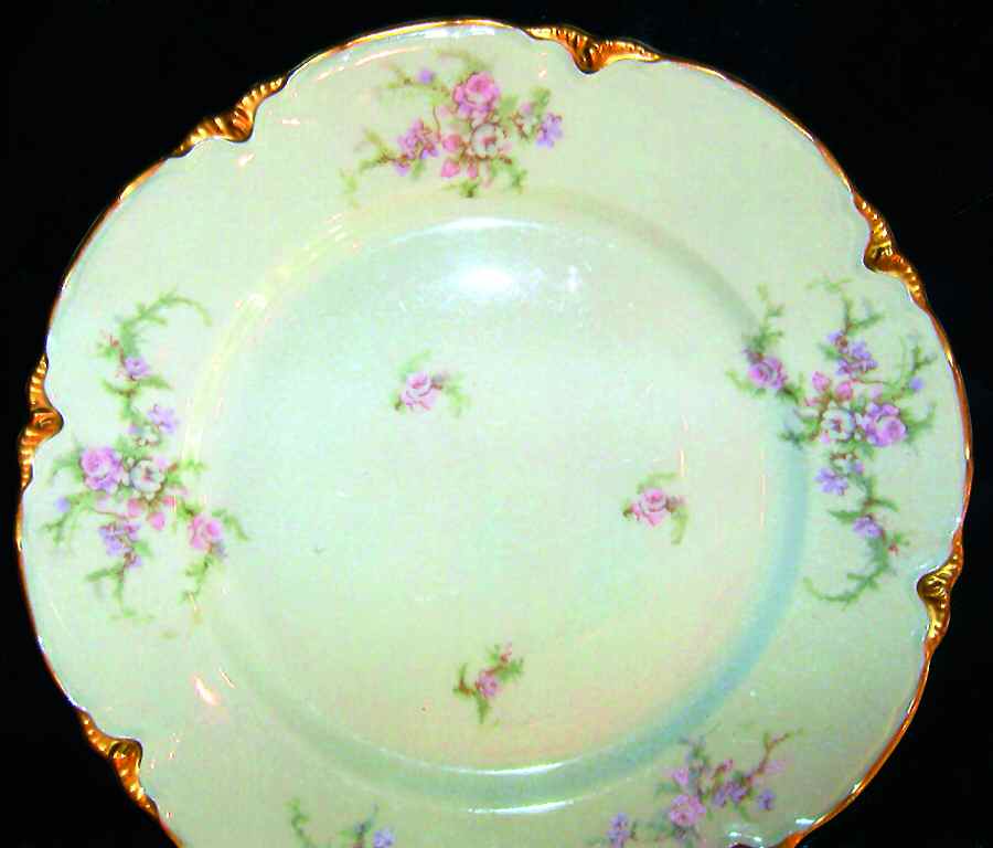 WAR172 Dinner Plate by Warwick-1