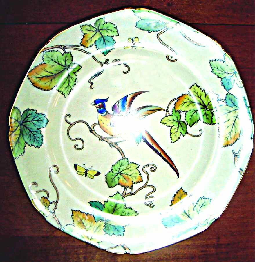 Exotical Salad Plate by F Winkle-1