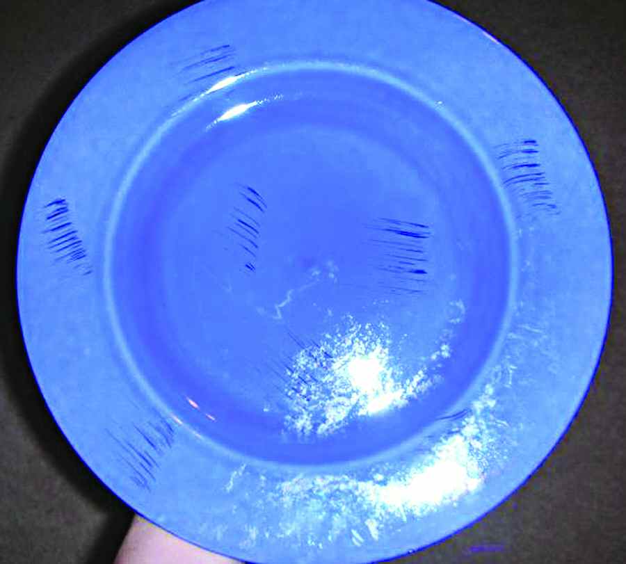 WOM4 Dinner Plate by World Market-1