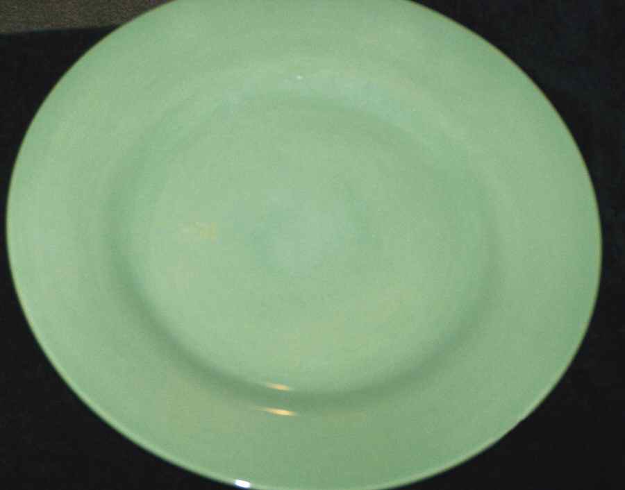 Jasmine Green Dinner Plate by Williams-Sonoma-1