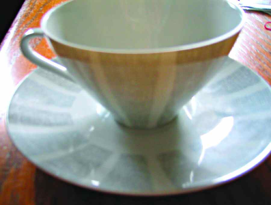 Tamara Flat Cup & Saucer Set by Winterling - Bavaria-1