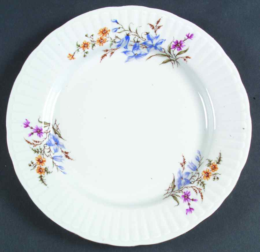 WTW6 Dinner Plate by Wtoctawek (Poland)-1