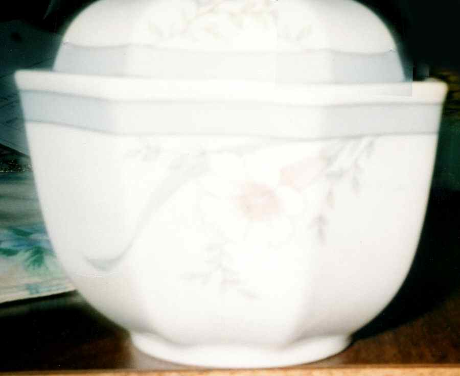 RXH80 Sugar Bowl & Lid by Retsch & Co-1