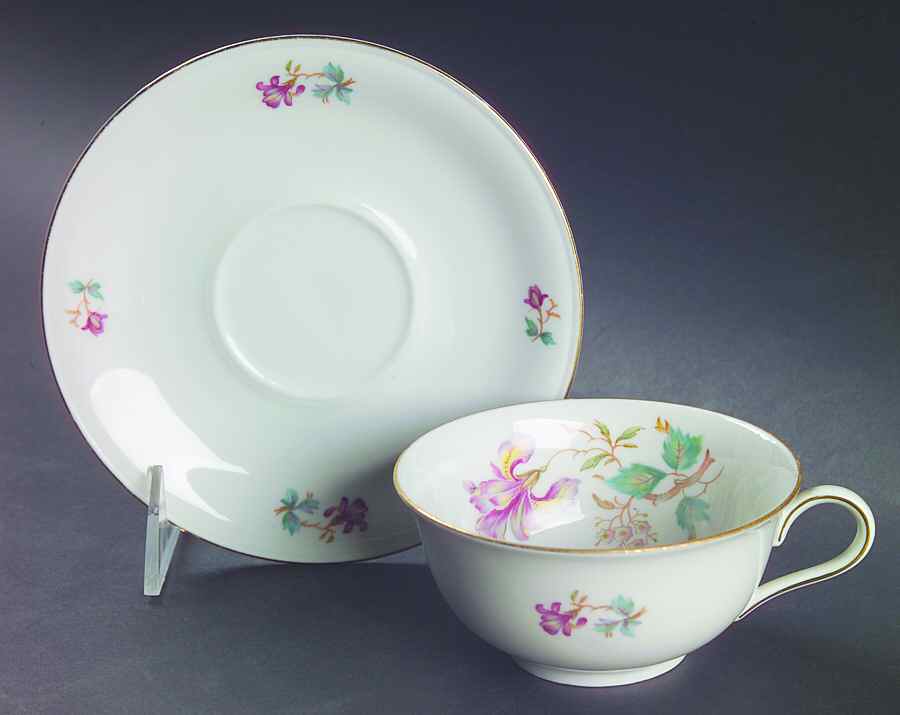WIG735 Flat Cup & Saucer Set by Winterling - Bavaria-1