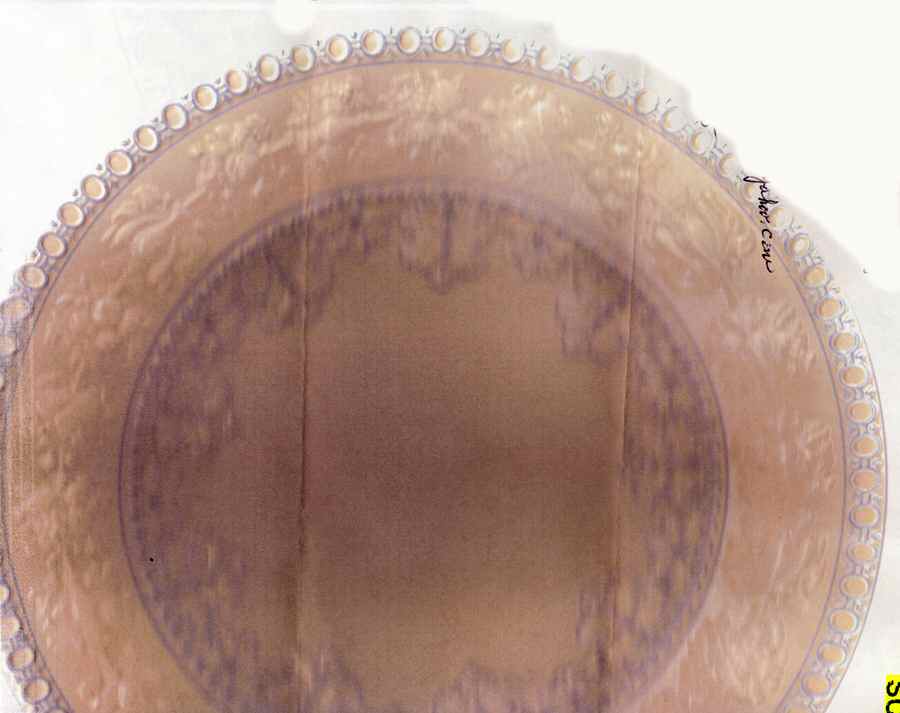 AMH9259 Dinner Plate by Wedgwood-1
