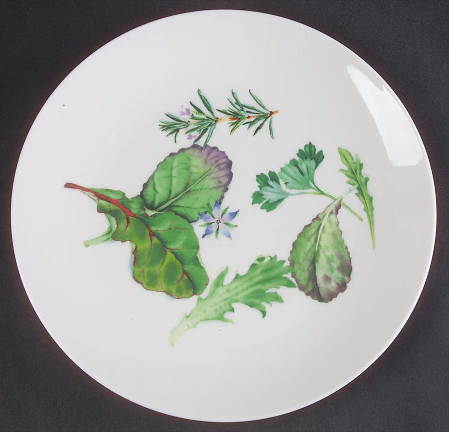 Chelsea Garden Salad Plate by Wedgwood-1
