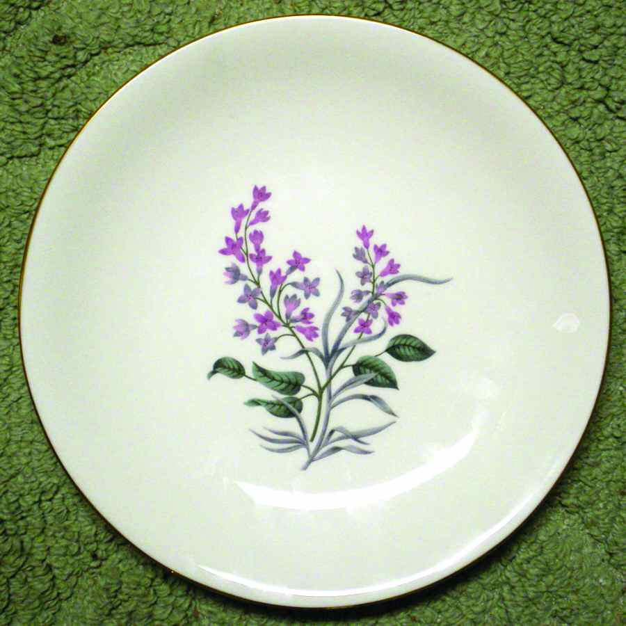 Lilac Salad Plate by Wedgwood-1