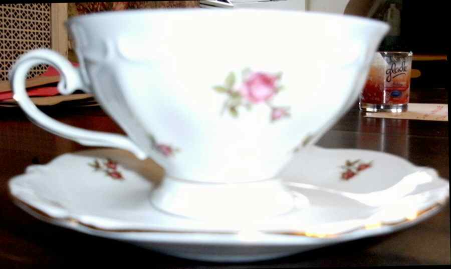 Spring Roses (Ribbed) Footed Cup & Saucer Set by Winterling - Bavaria-1
