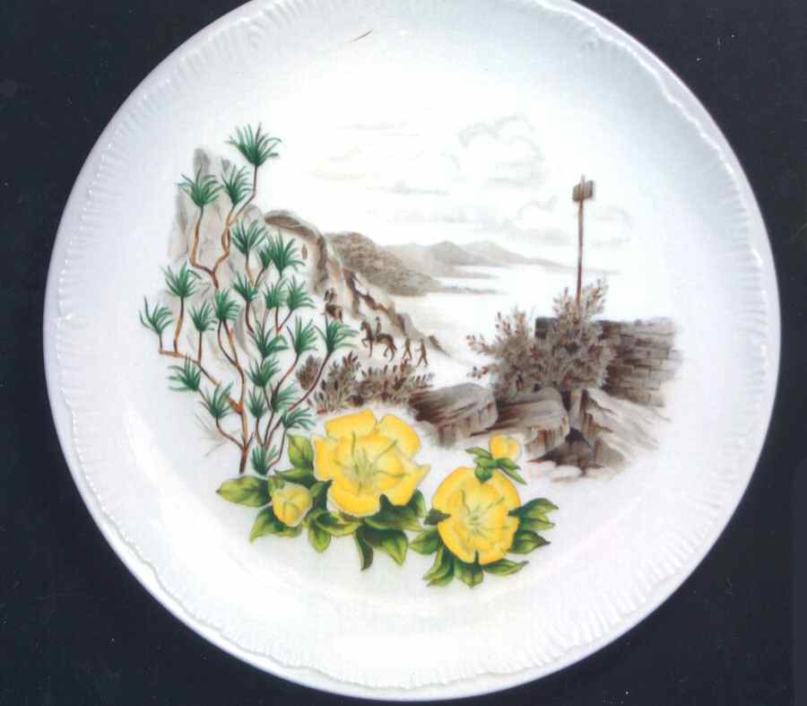 Honolulu Hawaii Dinner Plate by Wedgwood-1