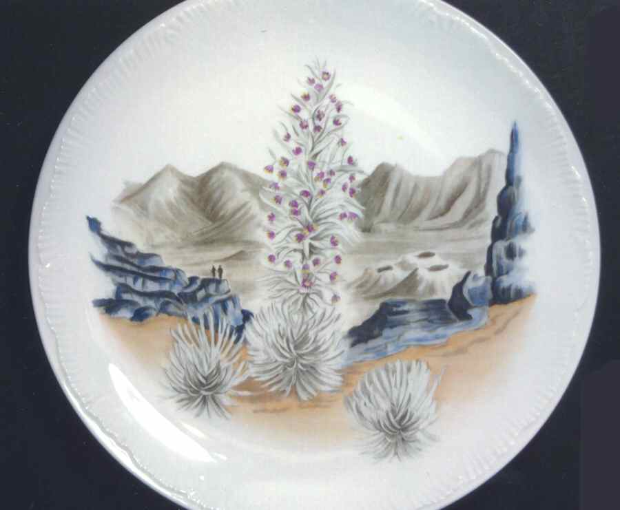 Honolulu Hawaii Dinner Plate by Wedgwood-1