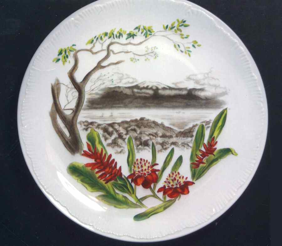 Honolulu Hawaii Dinner Plate by Wedgwood-1